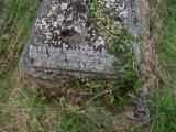 image of grave number 203679